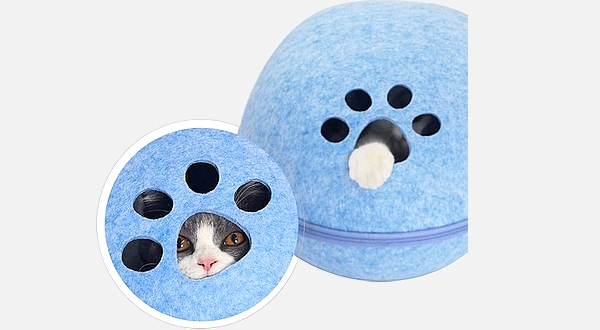 بيت قطة – لون أزرق