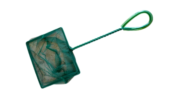 شبكة أسماك للأحواض المنزلية - لون أخضر