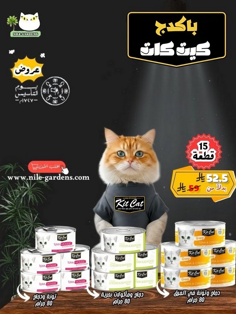 عرض تونة Kit Cat – تنوّع الطعم ومتعة كل يوم