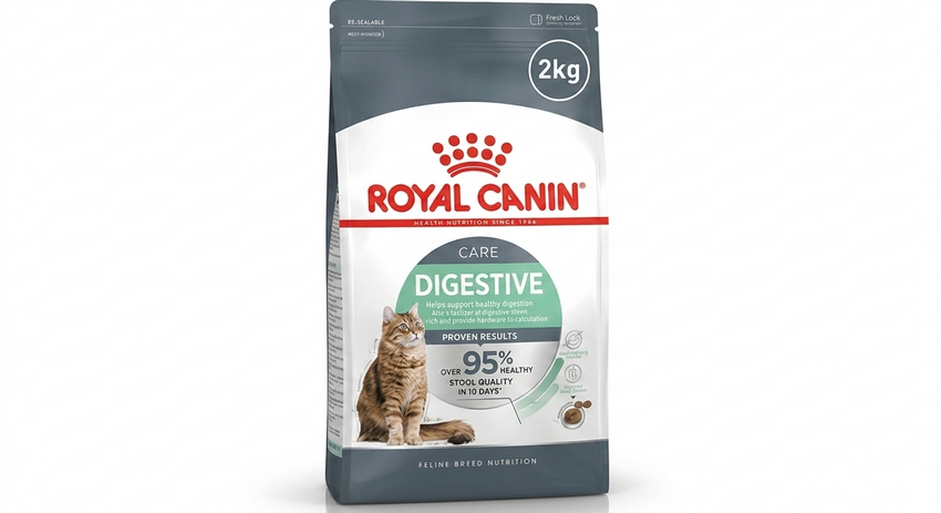 أكل قطط رويال كانين Digestive للقطط الكبيرة حجم 2 كيلوجرام